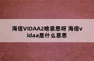 海信VIDAA2啥意思呀 海信vidaa是什么意思